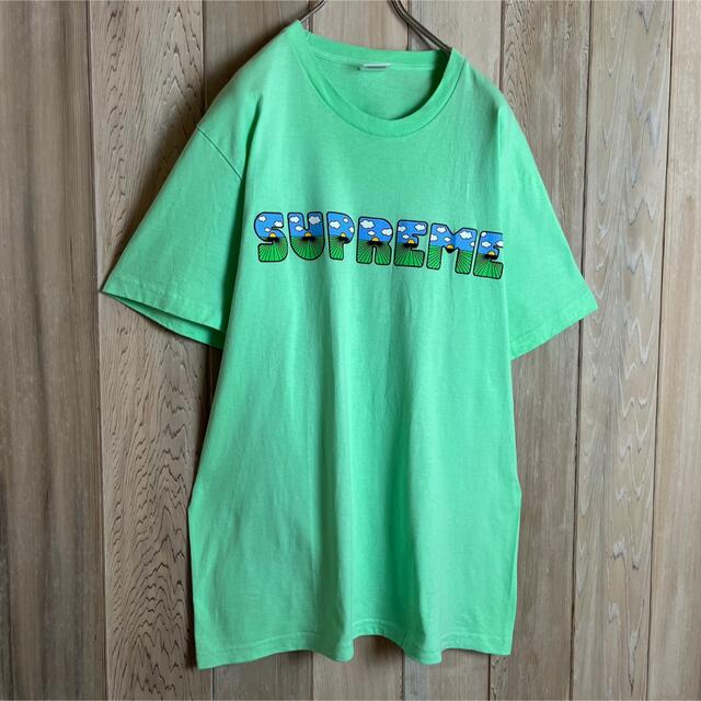 即完売モデル】supreme Tシャツ 両面プリント 希少カラー 入手困難