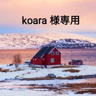 ザセム(the saem)のkoara 様専用(コンシーラー)