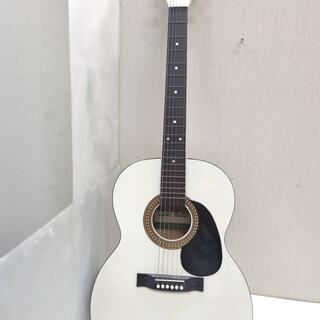 g04849 レイクギター Lake guitar アコースティックギター (その他)