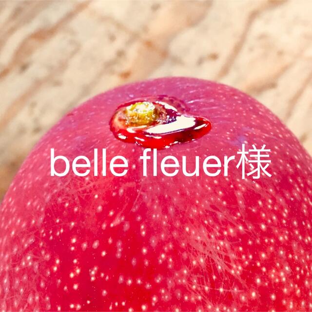 宮崎県産 完熟マンゴー 2kg 宮崎県産 完熟マンゴー 2kg