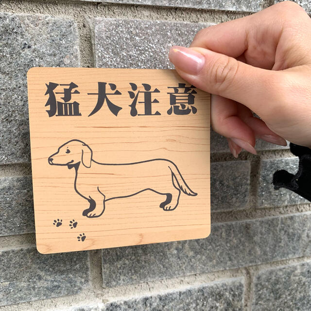 【送料無料】猛犬注意サインプレート ダックスフンド 愛犬 ペット 防犯 防犯対策 インテリア/住まい/日用品のオフィス用品(店舗用品)の商品写真