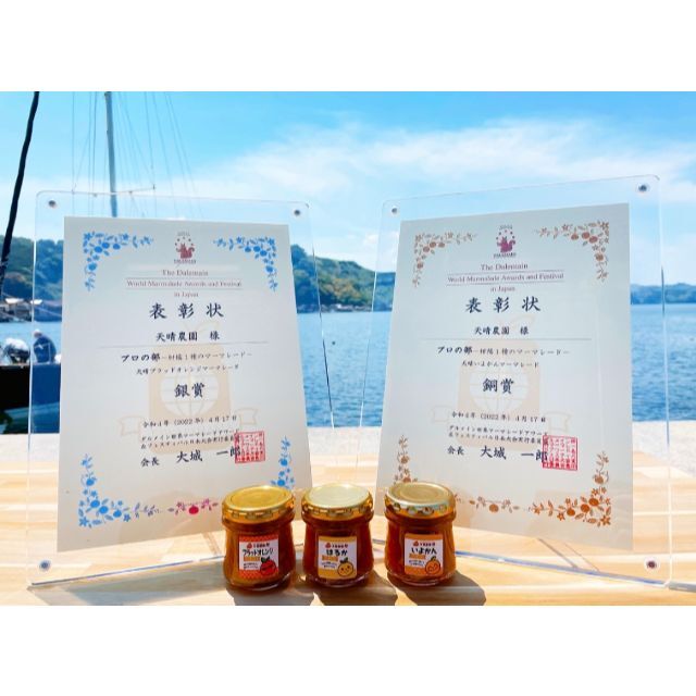 🌻夏ギフト🌻みかん・デコぽよジュース＆マーマレードセット】 食品/飲料/酒の飲料(ソフトドリンク)の商品写真