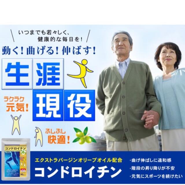 コンドロイチン サメ軟骨 サプリメント 3ヵ月分　健康食品 食品/飲料/酒の健康食品(アミノ酸)の商品写真