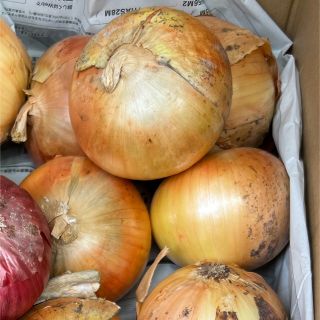 淡路島　玉ねぎ　3kg  玉ねぎ　栽培期間中　農薬除草剤不使用(野菜)