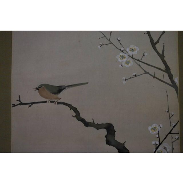真作】青畝/梅竹鴬図/掛軸☆宝船☆N-867 J 美術品/アンティーク 美術品