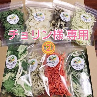 5種類の乾燥野菜セット②(野菜)