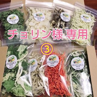 5種類の乾燥野菜セット③(野菜)