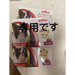 専用ページ！　アンチノール1ケース(犬)