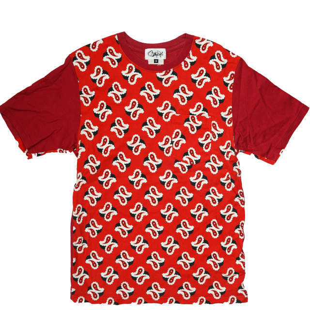 GANRYU - GANRYU ガンリュウ COMME des GARCONS ペイズリーTシャツの ...