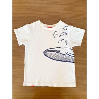 オジコ(OJICO)のTシャツ　OJICO オジコ★クジラ　8A 110 120 キッズ　子供(Tシャツ/カットソー)