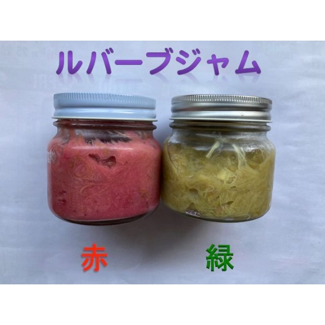 ルバーブ（緑）　1 kg　　八ヶ岳高原産 食品/飲料/酒の食品(野菜)の商品写真