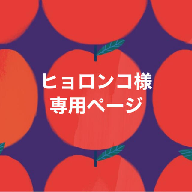 JAL(日本航空)(ジャル(ニホンコウクウ))のヒョロンコ様　専用 その他のその他(その他)の商品写真