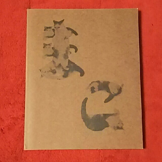 角川書店(カドカワショテン)のまこという名の不思議顔の猫 11年目のまこである。 猫の写真集 帯付き エンタメ/ホビーの本(住まい/暮らし/子育て)の商品写真
