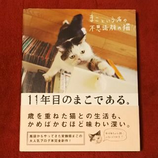 カドカワショテン(角川書店)のまこという名の不思議顔の猫 11年目のまこである。 猫の写真集 帯付き(住まい/暮らし/子育て)