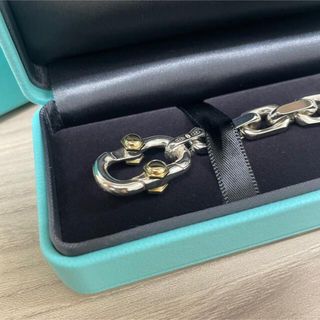 ティファニー(Tiffany & Co.)の証明書あり【24時間以内発送】ティファニーワイドチェーン　ブレスレット(ブレスレット)