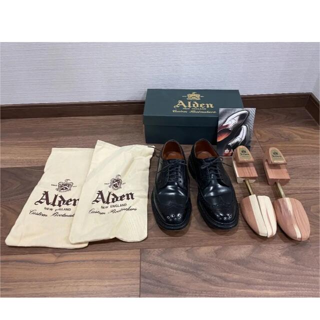 Alden(オールデン)のAlden 9751 ウィングチップ　6D 純正　シューツリー　シューキーパー メンズの靴/シューズ(ドレス/ビジネス)の商品写真