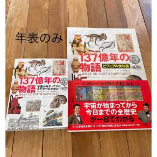 137億年の物語 ビジュアル大年表のみ(絵本/児童書)