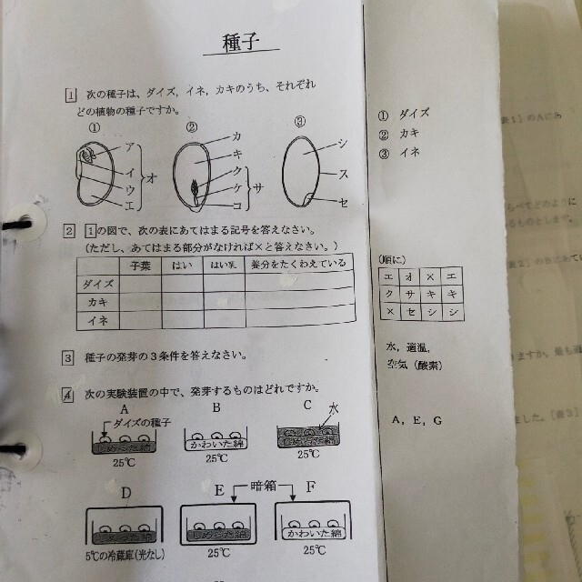 浜学園6年 理科 テキスト 公開テスト1年分 - 語学/参考書