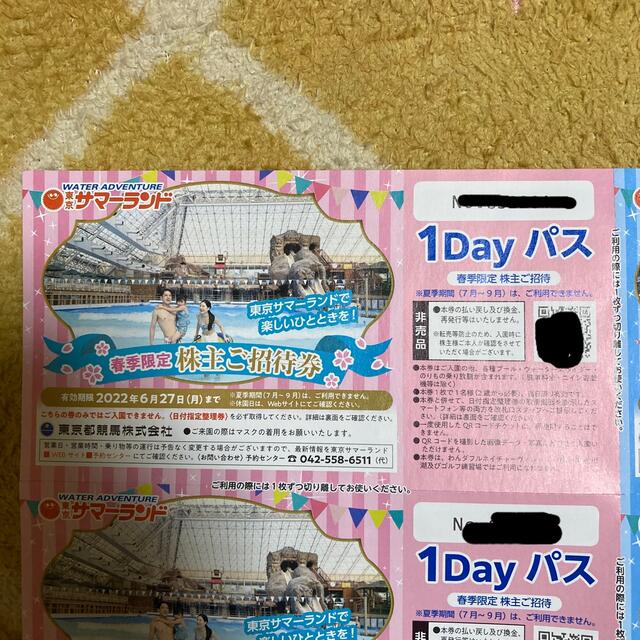 サマーランド1DAYパス８枚 1