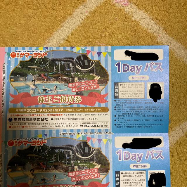 サマーランド1DAYパス８枚 2