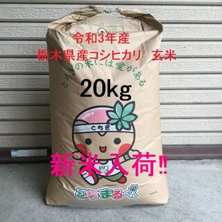 食味ランキング特A　栃木県産コシヒカリ　令和3年・検査1等　玄米20kg　精米可(米/穀物)