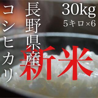 【令和3年産】長野県コシヒカリ30キロ白米(米/穀物)