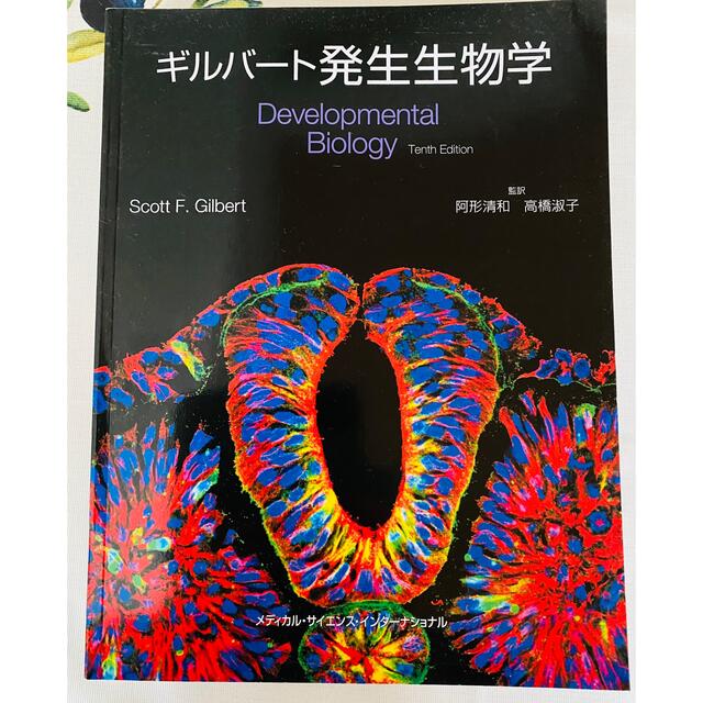 ギルバ－ト発生生物学 エンタメ/ホビーの本(科学/技術)の商品写真