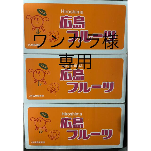 沖縄送料 食品/飲料/酒の食品(フルーツ)の商品写真