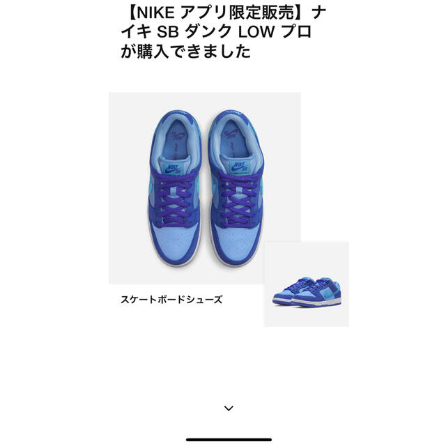 Nike SB Dunk low   ブルーラズベリー