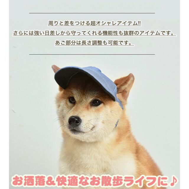 ペットキャップ 日除け  その他のペット用品(犬)の商品写真