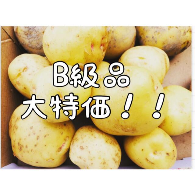 野菜詰め合わせ　新じゃがいも　B級品　80サイズ 食品/飲料/酒の食品(野菜)の商品写真