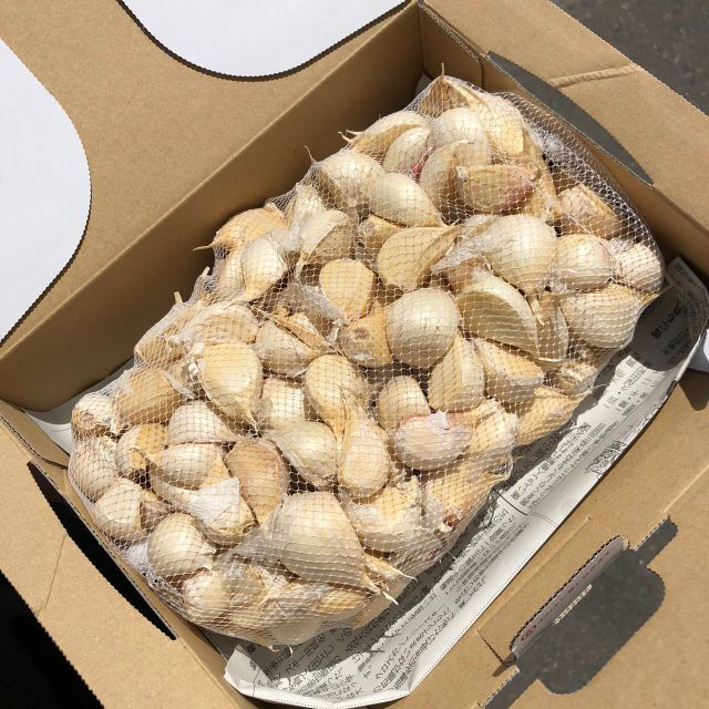 本場からお届け!!青森県産にんにく 福地ホワイト六片 バラ お試し500ｇ 食品/飲料/酒の食品(野菜)の商品写真