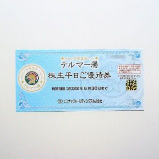 エコナックホールディングス　株主優待　テルマー湯 株主平日ご優待券 1枚(その他)