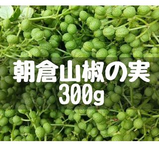 大分県産 朝倉山椒の実 300g 無農薬 青山椒 実山椒(野菜)