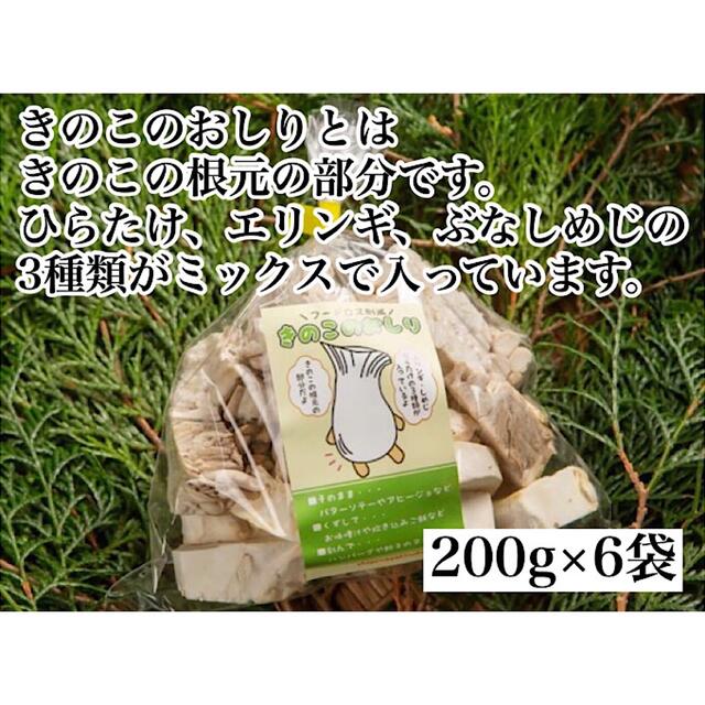 きのこのおしり 食品/飲料/酒の食品(野菜)の商品写真