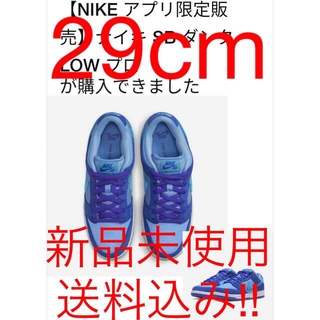 ナイキ(NIKE)のNike SB Dunk Low Blue Raspberry希少サイズ29cm(スニーカー)