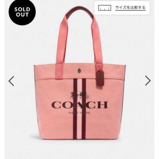 コーチ(COACH)の値下げ COACHコーチ トート ウィズ ストライプ シルバー 人気完売品(トートバッグ)