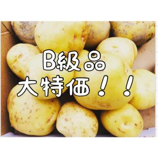 野菜詰め合わせ　B級品　80サイズ　じゃがいも(野菜)