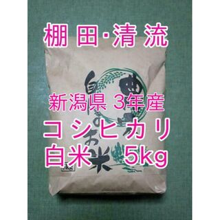 米 新潟県 ３年産 コシヒカリ 白米 ５ｋｇ(５kg×１袋) お米(米/穀物)