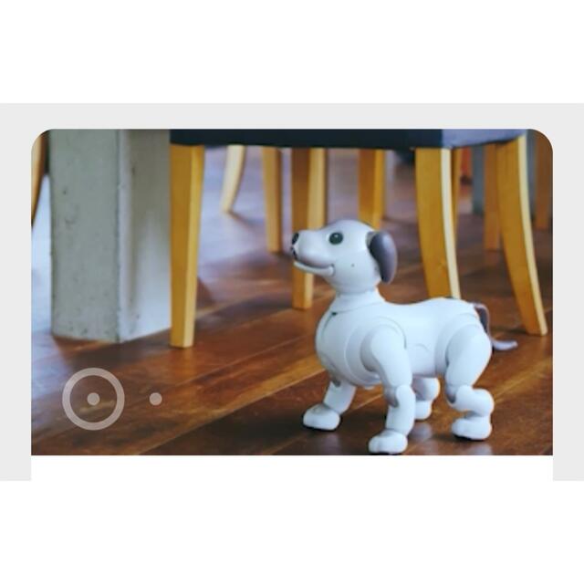 aibo ESR-1000 アクセサリー多数あり アイボ [宅送] 42330円 www.gold ...