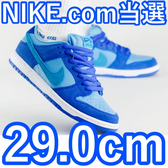 NIKE(ナイキ)のNike SB Dunk Low Blue Raspberry 29.0cm メンズの靴/シューズ(スニーカー)の商品写真