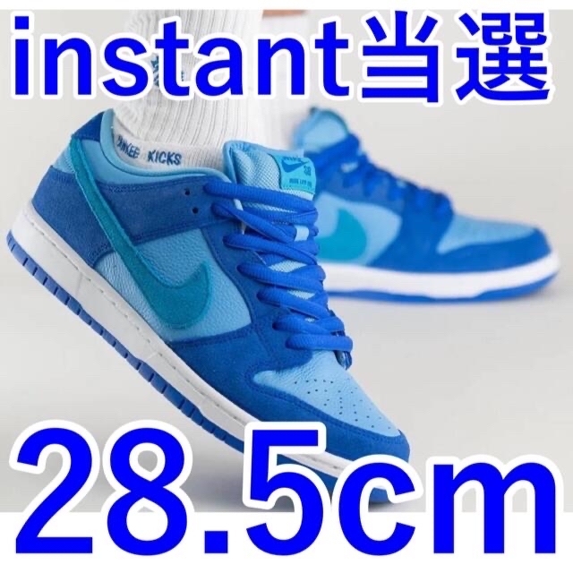 NIKE(ナイキ)のNike SB Dunk Low Blue Raspberry 28.5cm メンズの靴/シューズ(スニーカー)の商品写真