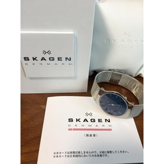 スカーゲン(SKAGEN)のSKAGEN 腕時計 ブルー×シルバー レディース(腕時計)