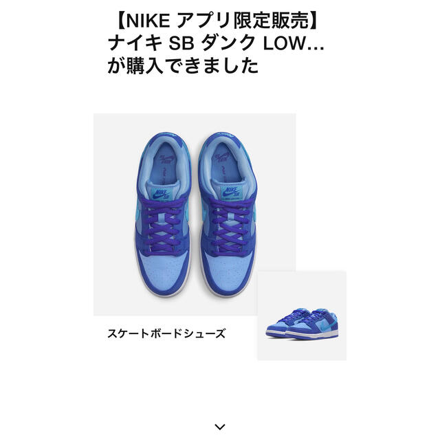 NIKE(ナイキ)のNike SB Dunk Low Blue Raspberry 27.0cm メンズの靴/シューズ(スニーカー)の商品写真