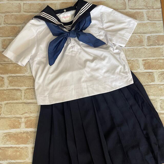 ミツコシ(三越)のコスプレ　セーラー服　夏服　半袖　紺襟　白3本　三越　大きいサイズ　165(衣装)