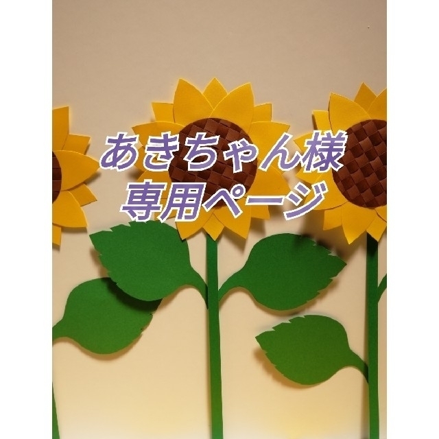 あきちゃん様専用ページ-