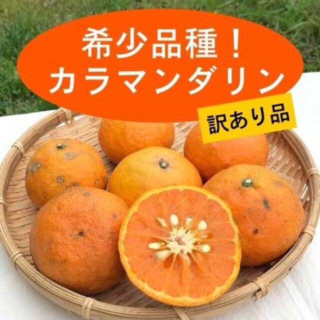 【送料無料】訳あり・カラマンダリン2㎏・初夏の味♪ 食品/飲料/酒の食品(フルーツ)の商品写真