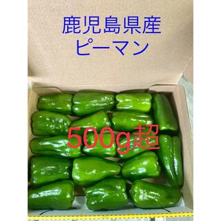 鹿児島県産ピーマン500g超(野菜)