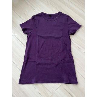 ユニクロ(UNIQLO)のユニクロ　UNIQLO  Tシャツ　パープル　リブ　Mサイズ　着用(Tシャツ(半袖/袖なし))