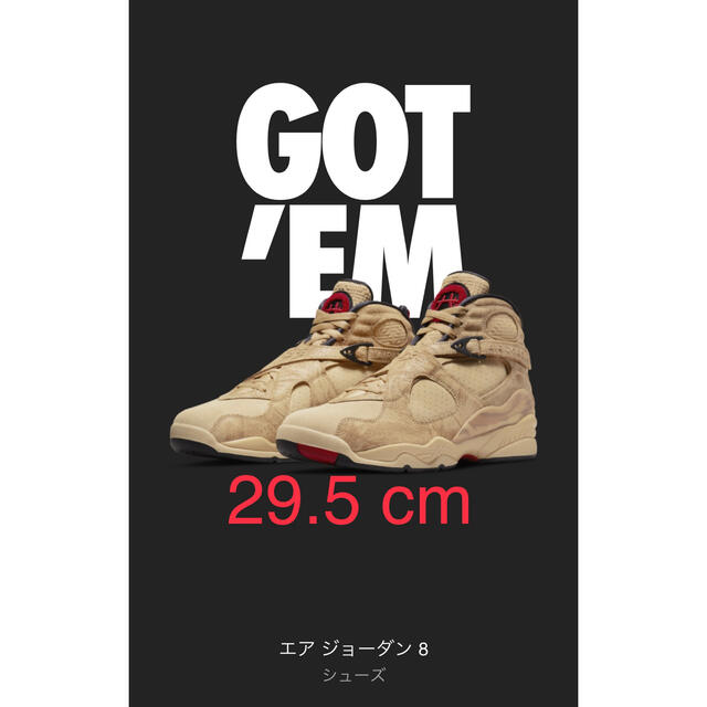 Nike Air Jordan 8 × Rui Hachimura　29.5